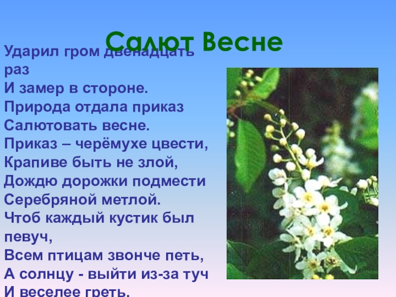 Природа отдала. Ударил Гром двенадцать раз и замер в стороне. Приказ черемухе цвести крапиве быть. Стих з Александровой ударил Гром. Ударил Гром двенадцать.