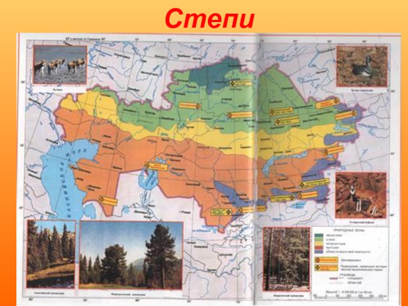 Природные зоны казахстана картинки
