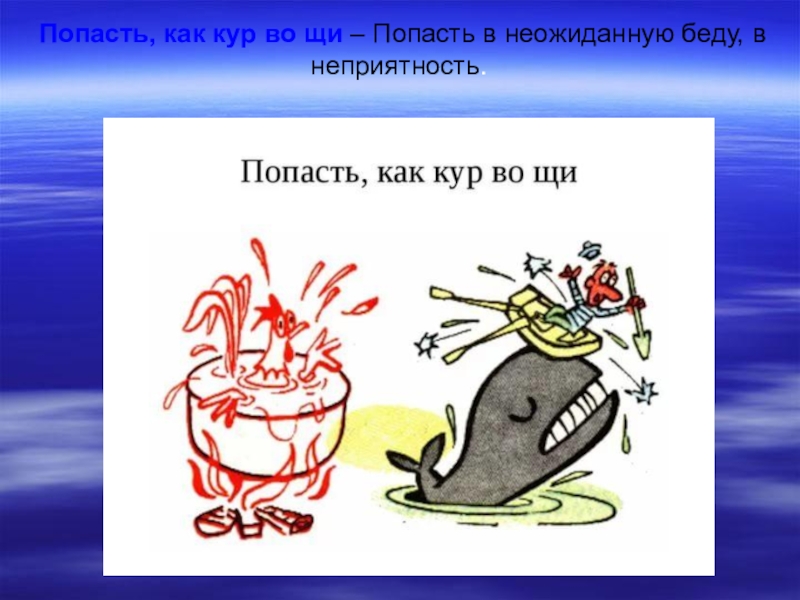 Значит попал. Попасть как кур во щи. Фразеологизм попасть как кур во щи. Фразеологизм попал как кур в ощип. Кур во щи попал.