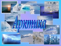 Презентация по окружающему миру на тему Проект Арктика(4 класс)