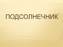 Презентация по биологии Солнечный цветок