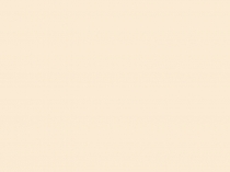 Презентация Жемчужины Амурской природы