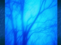 Презентация по окружающему миру на тему: Зима 1 класс