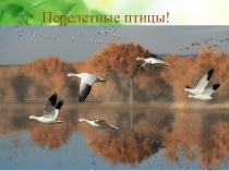 Презентация По ознакомлению с окружающим Перелетные птицы