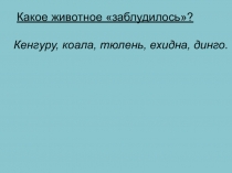 Презентация по окружающему миру на тему Дальний Восток. Особенности природы гор