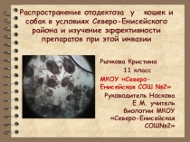 Исследовательская работа на тему  Распространение отодектоза кошек и собак в условиях Северо-Енисейского района и изучение эффективности препаратов при этой инвазии