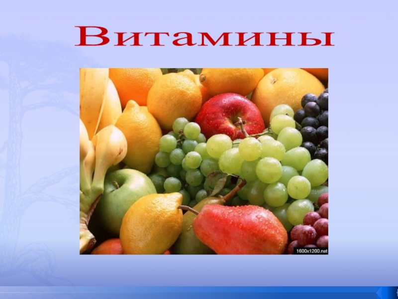 Презентация по химии на тему витамины в жизни человека