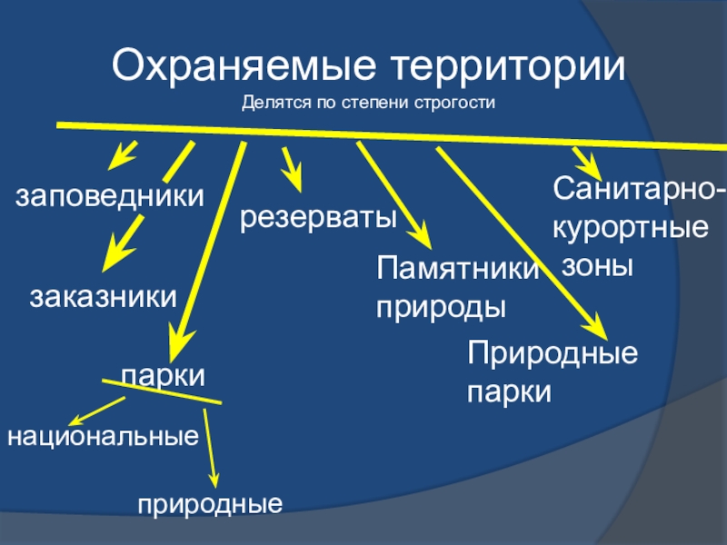 Охрана ландшафтов презентация