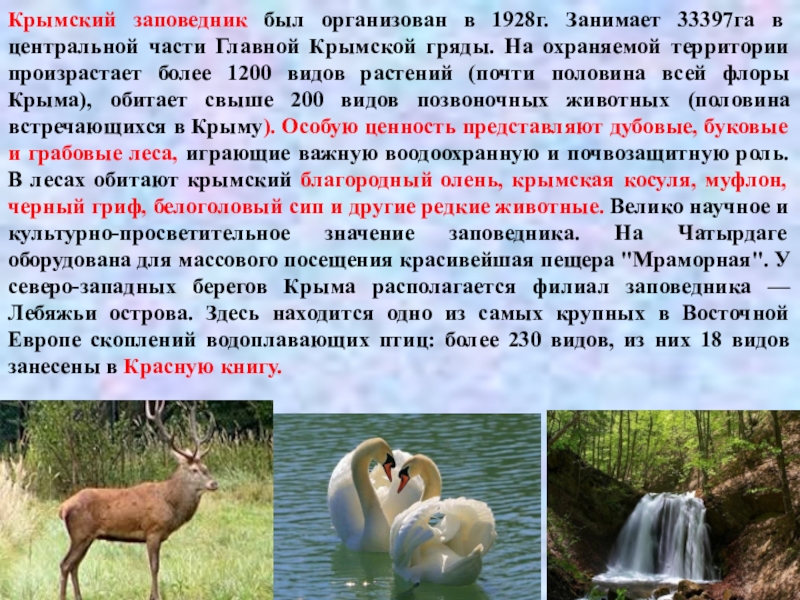 Подготовить сообщение о заповеднике. Заповедники Крыма проект 3 класс. Сообщение о заповеднике Крыма. Сообщение о заповеднике. Крымский заповедник сообщение.