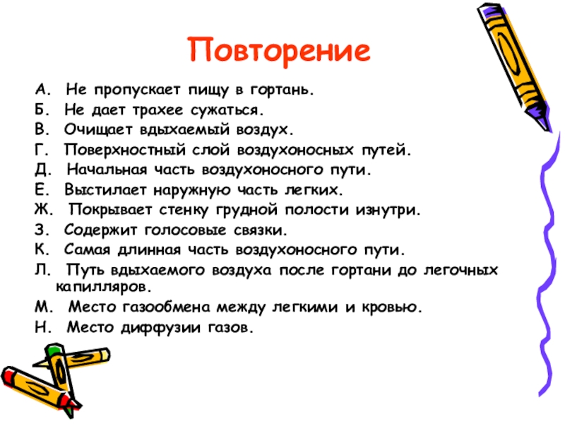 Что не пропускает пищу в гортань. Из перечня органов дыхательной системы выберите ответы на вопросы. Что не пропускает пищу в гортань. Речеобразование. Что не пропускает пищу в гортань.