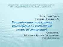 Презентация Биоиндикация загрязнения атмосферы по состоянию сосны обыкновенной