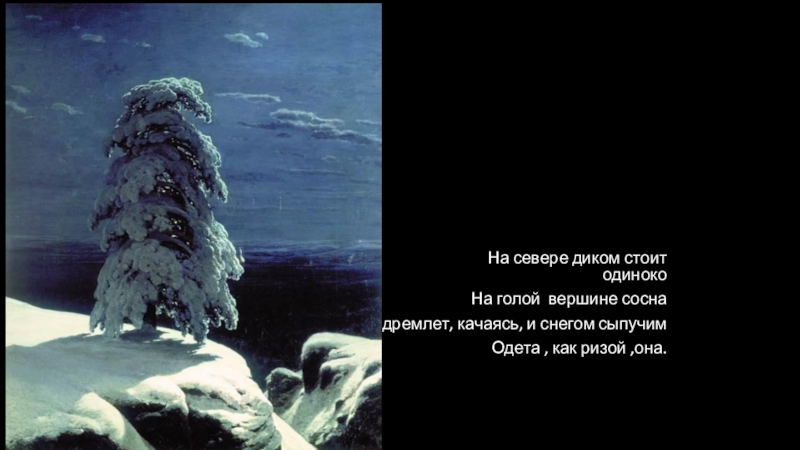 Стихотворение на севере стоит одинокая. На севере диком Лермонтов. Стихотворение м ю Лермонтова на севере диком. На севере диком стоит одиноко сосна. На голой вершине сосна.