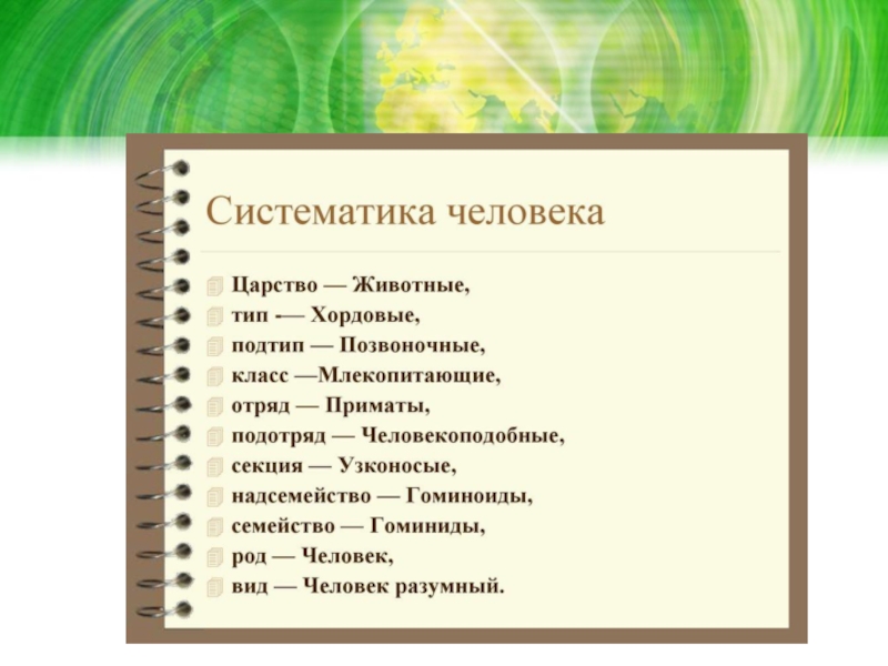 Систематика человека. Систематика человека разумного. Систематика вида человек разумный. Биологическая систематика человека.