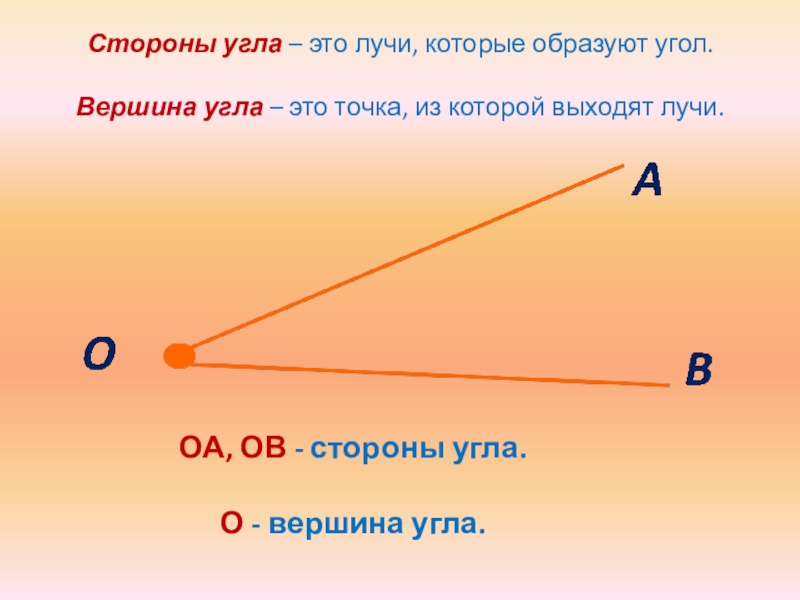 Из вершины угла проведен луч