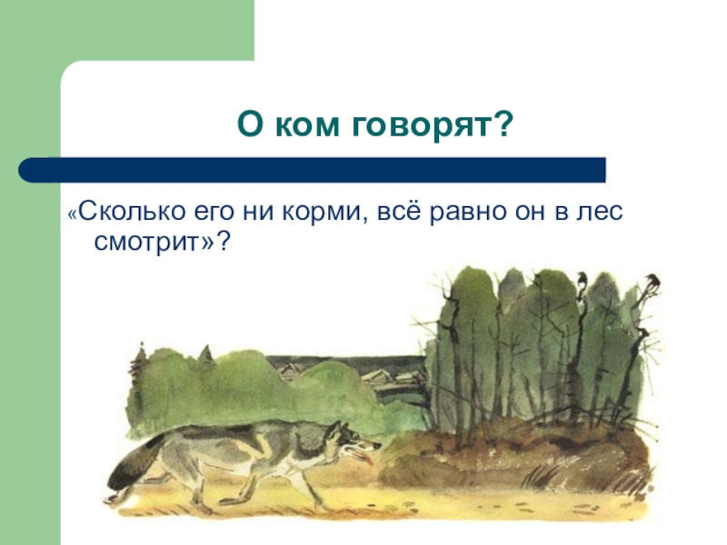 Сколько волка не корми. Сколько волка не корми все. Сколько волка не корми все равно. Сколько волка не корми все в лес смотрит. Сколько волка ни корми он.