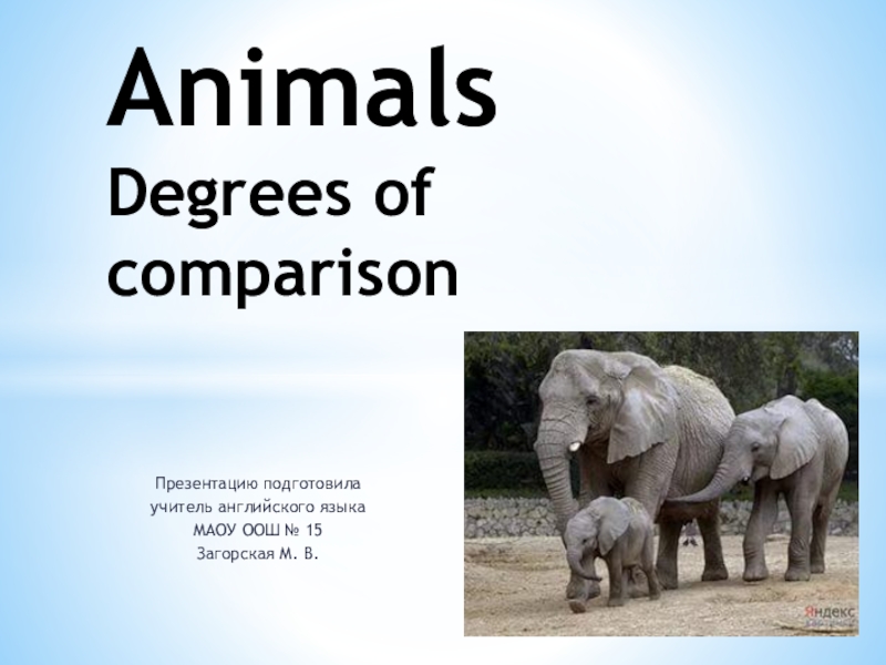 Презентация Презентация по английскому языку на тему Животные. Степени сравнения прилагательных
