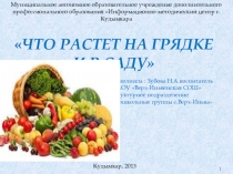 Презентация к НОД на тему Что растет на огороде и в саду