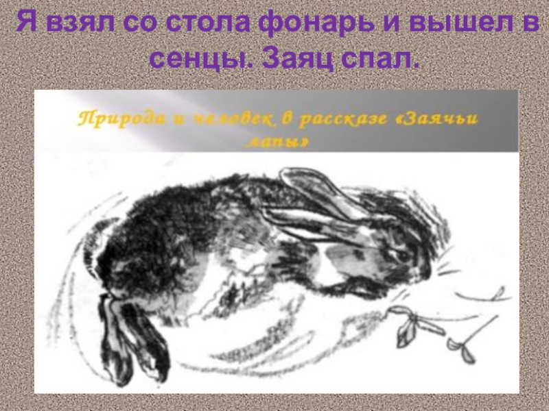 Заяц рваное ухо. Заячьи лапы Паустовский заяц. К. Паустовский "заячьи лапы". Иллюстрация к произведению заячьи лапы.