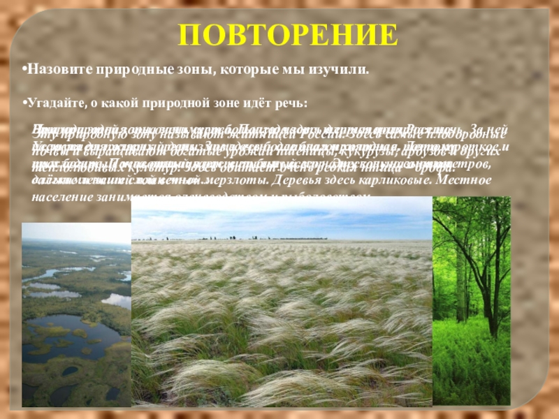 В какой природной зоне ответ. Повторить природные зоны. Повторение зоны природные зоны. Повторить тему природные зоны. 4 Класс природные зоны повторить.