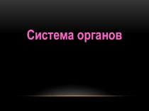 Система органов