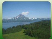 Разработка внеклассного мероприятия  КВН  Да здравствуют растения!