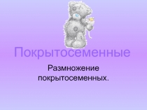 Презентация по биологии для 6 класса на тему Покрытосеменные