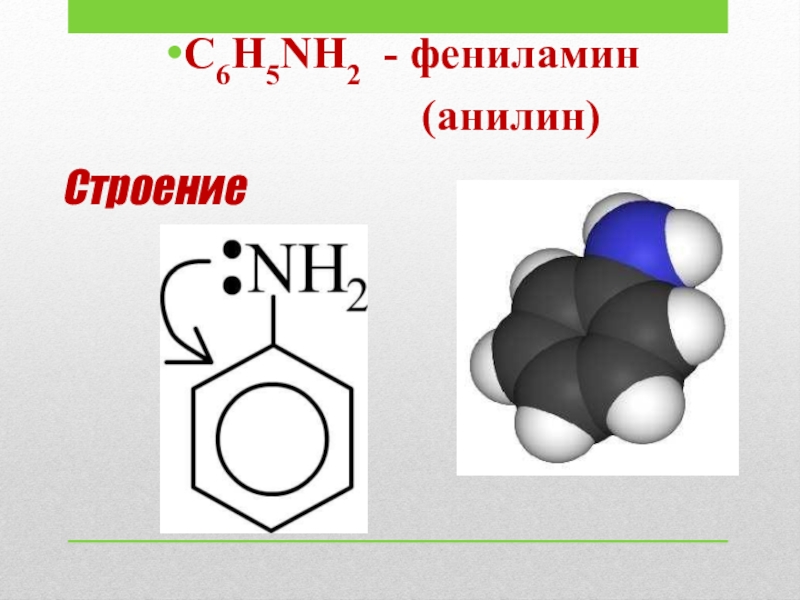 Амины 10 класс химия презентация