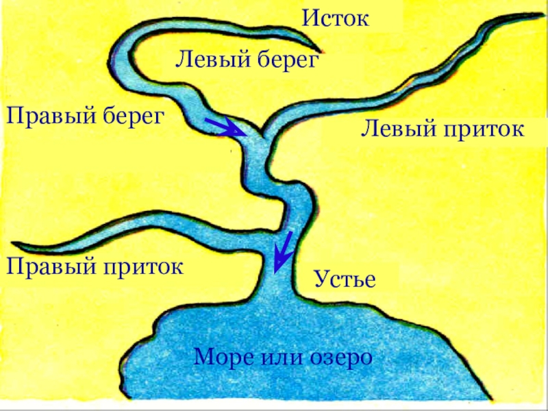 Поясни почему рисунки берега отличаются