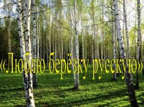 Презентация к занятию в старшей группе по ознакомлению с окружающим миром Люблю берёзку русскую