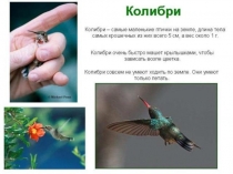 А знаете ли Вы?