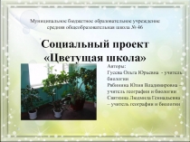 Социальный проект Цветущая школа