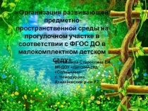 Организация развивающей предметно-пространственной среды на прогулочном участке в соответствии с ФГОС ДО в малокомплектном детском саду