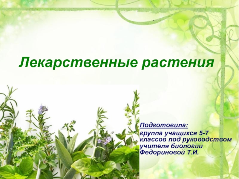 Презентация Презентация Лекарственные растения Аларского района