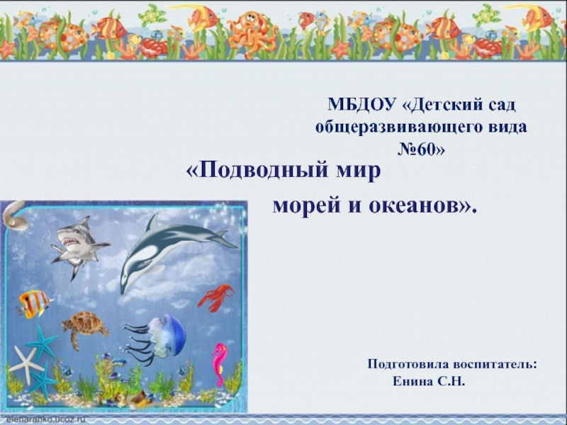 МБДОУ «Детский сад общеразвивающего вида №60» «Подводный мир