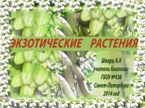 ЭКЗОТИЧЕСКИЕ РАСТЕНИЯ ШВАРЦ А.А.