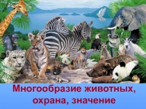 Презентация по биологии на тему: Многообразие животных, охрана, значение