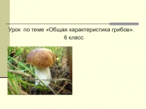 Презентация Общая характеристика грибов