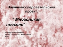 Научно-практическая конференция на тему Многоликая плесень(2класс)