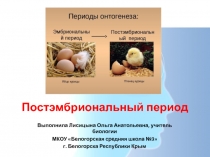 Презентация по биологии на тему Постэмбриональный период развития (10 класс)