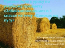 Презентация по забайкаловедению на тему Сенокос на лугу(3 класс)