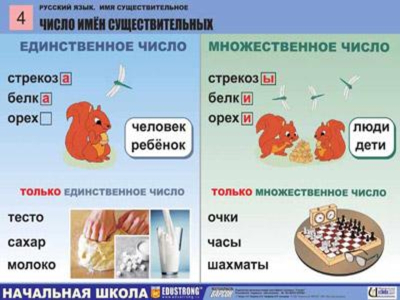 Технологическая карта урока по русскому языку 3 класс число имен существительных