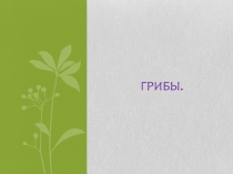 Презентация по окружающему миру на тему Грибы (2-3 класс)
