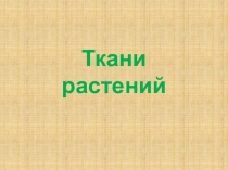Трани растений презентация для 6 класса