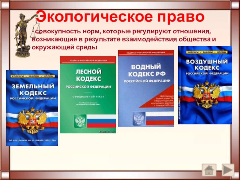 Международное право презентация 11 класс профильный уровень