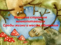 Внешнее строение млевопитающих