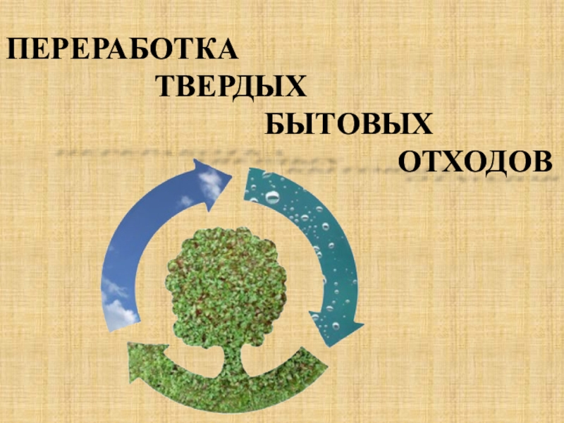 Презентация Презентация по экологии ПЕРЕРАБОТКА ТВЕРДЫХ БЫТОВЫХ ОТХОДОВ