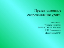 Презентация по биологии на тему:Клеточный уровень