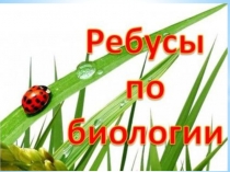 Ребусы по биологии презентация