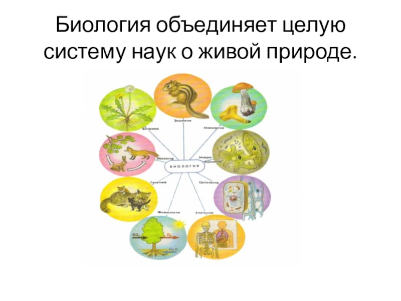 2 науки биологии