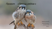 Творческий, познавательный проект Птицы рядом с нами